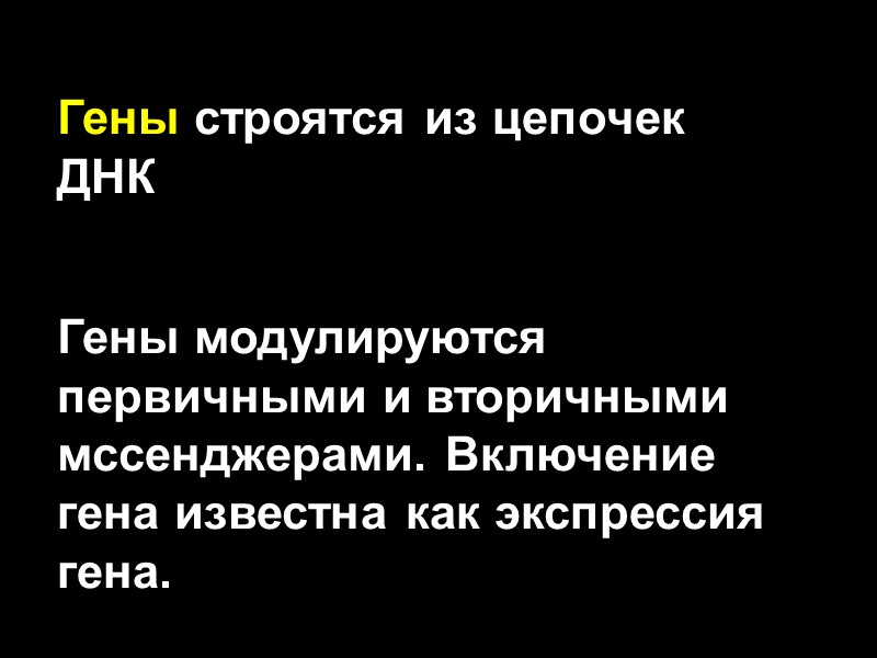 Гены строятся из цепочек ДНК Гены модулируются первичными и вторичными мссенджерами. Включение гена известна